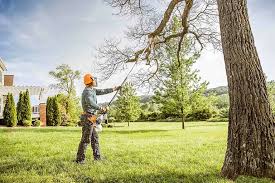 Best Tree Maintenance Programs  in Connerton, FL