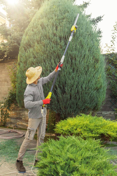 Best Lawn Watering Services  in Connerton, FL